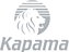 Singita's Competitor - Kapama logo