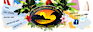 Kauaisurflessons