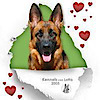 Kennels Von Lotta German Shepherds
