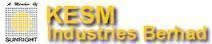 KESMI's logo KESMI's Company logo
