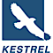 Bisindustries's Competitor - Kestrel Freight And Customs logo