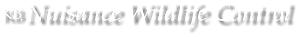 Kevin Brassie's logo Kevin Brassie's Company logo