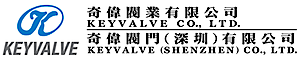 Keyvalve's logo Keyvalve's Company logo