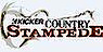 1025Theriver's Competitor - Kfdi Fm logo