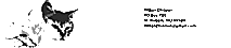 Kitten Division's logo Kitten Division's Company logo