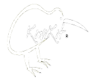 Kiwikit