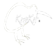 Kiwikit