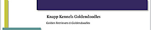 Knapp Kennels Goldendoodles's logo Knapp Kennels Goldendoodles's Company logo