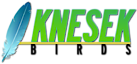 Knesek Birds's logo Knesek Birds's Company logo