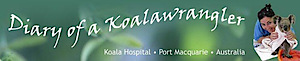 Koala Hospital Port Macquarie's logo Koala Hospital Port Macquarie's Company logo
