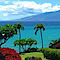Kuleana 309 Maui