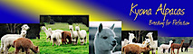 Kyona Alpacas's logo Kyona Alpacas's Company logo