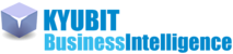 KYUBIT Business Intelligence
