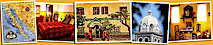 La Damiana Inn's logo La Damiana Inn's Company logo