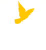Las Flores Community Garden