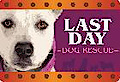 Last Day Dog Rescue