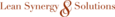 Lean Synergy & Solutions