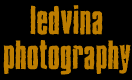 Ledvina Photography's logo Ledvina Photography's Company logo