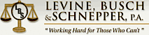 Levine, Busch & Schnepper's logo Levine, Busch & Schnepper's Company logo