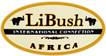Libush International Connections Africa