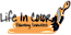 Life In Color Painting Services