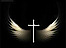Light Seeker Ministry