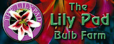 Lilypadbulbs's logo Lilypadbulbs's Company logo