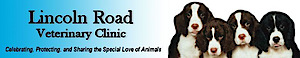Lincoln Road Veterinary Clinic