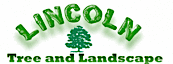Lincoln Tree & Landscape's logo Lincoln Tree & Landscape's Company logo