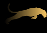 Lioness Consultants's logo Lioness Consultants's Company logo