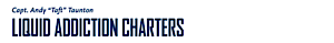 Liquid Addiction Charters