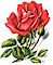 Little Flower Healthcare Registry