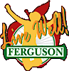 Live Well Ferguson