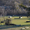 Lone Tree Farm's logo Lone Tree Farm's Company logo