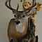 Lonetree Exec. Taxidermy