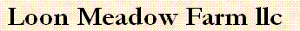 Loon Meadow Farm's logo Loon Meadow Farm's Company logo