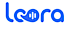 ELSA's Competitor - Loora logo