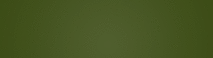 Lyme Underground's logo Lyme Underground's Company logo