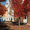 Lyndon Umc
