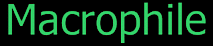 Macrophile's logo Macrophile's Company logo