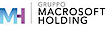Gruppomacrosoftholding's company profile
