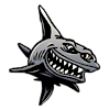 Mad Shark Charters