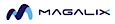Magalix's company profile