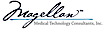 Magellan Medical Technology Consultants