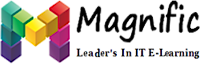Magnific Training's logo Magnific Training's Company logo