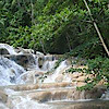 Magnolia Vacations
