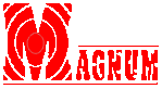 Magnum Computers, Inc.