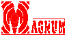 Magnum Computers, Inc.