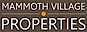 Mammothvillageproperties's company profile