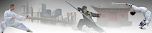 Manhattan Shaolin Kungfu & Qigong